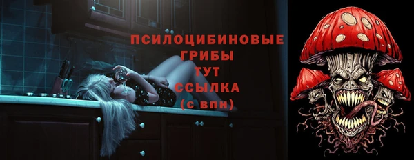 альфа пвп Дмитровск