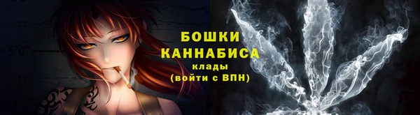альфа пвп Дмитровск