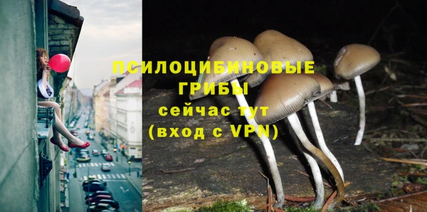 mix Дмитриев