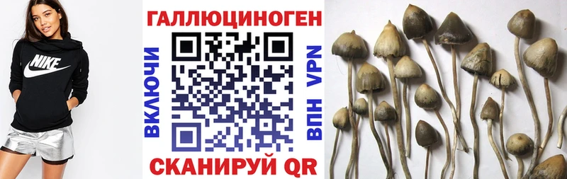 Галлюциногенные грибы прущие грибы  Купить  Сычёвка 
