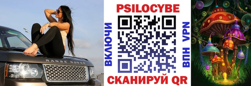 Галлюциногенные грибы Psilocybine cubensis Сычёвка